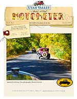 November 2020 Newsletter